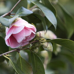 260314_Walk_n_Play