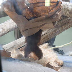 260523_Zoo